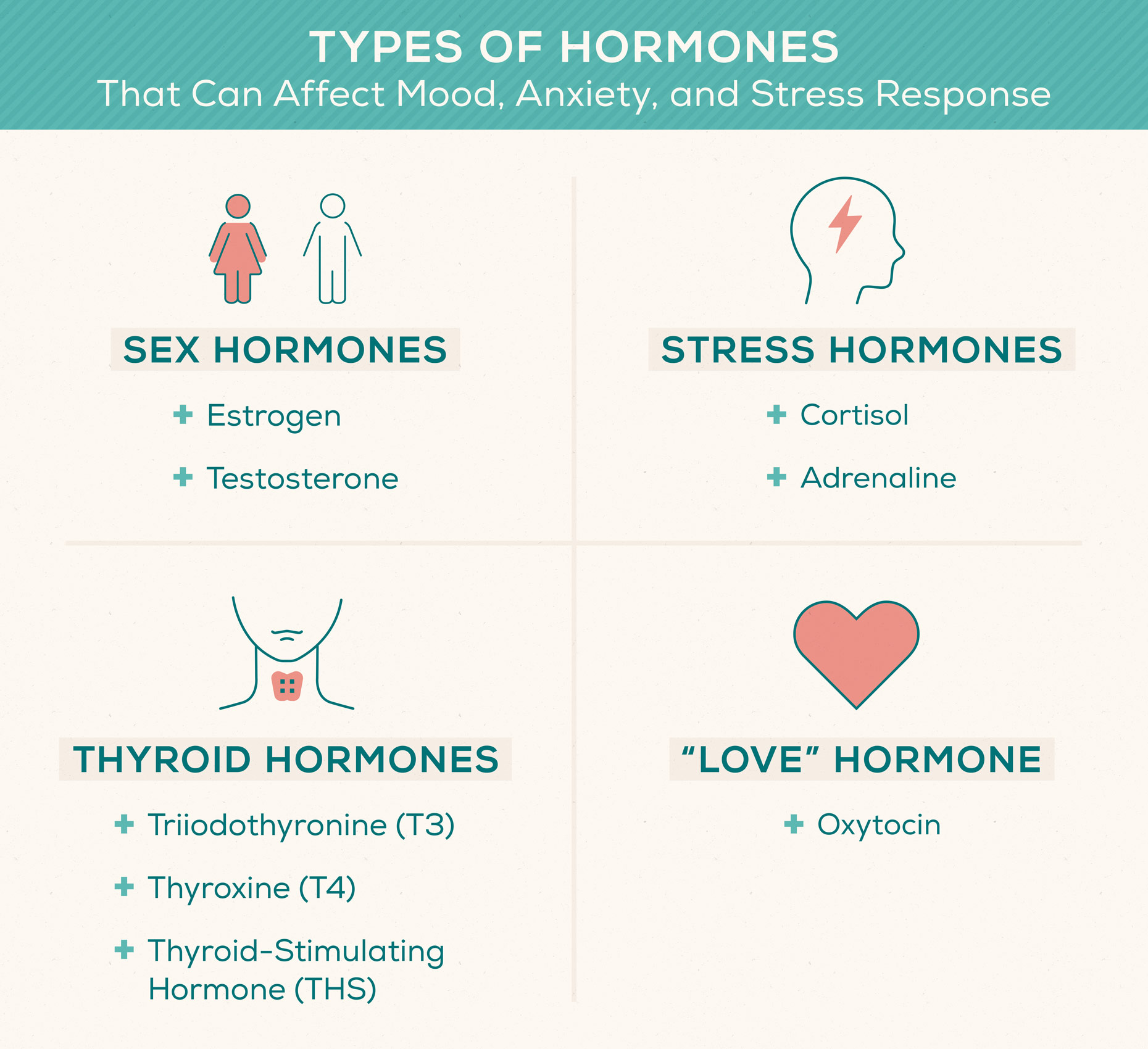 types-of-hormones