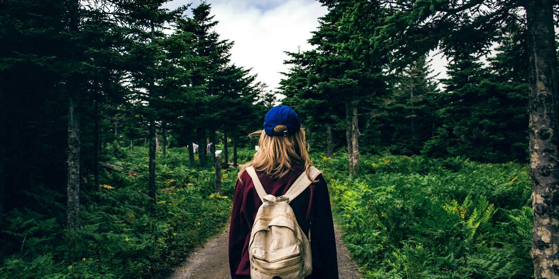 Hiking can put you at a greater risk of tick bites and Lyme disease