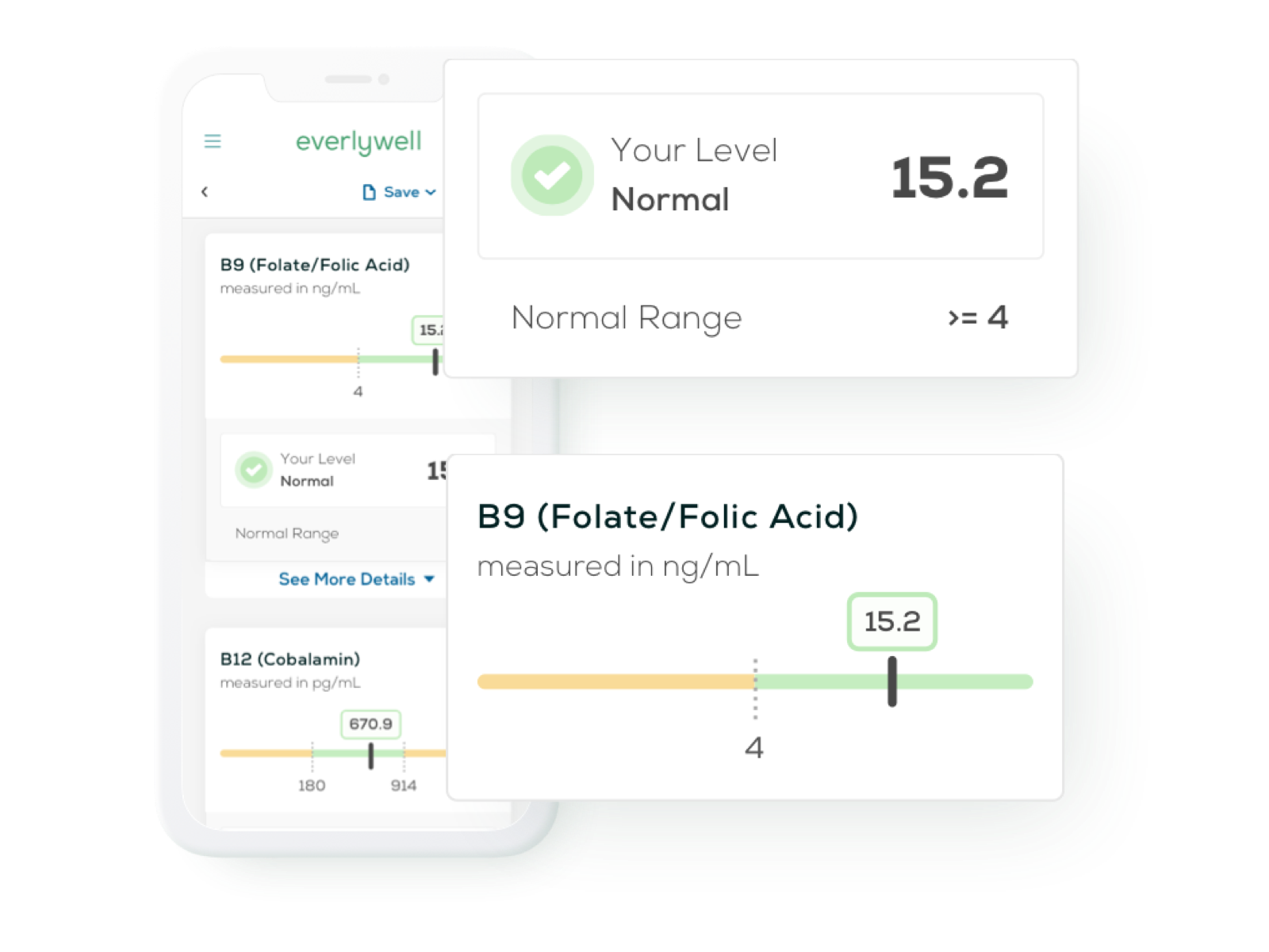 At-home B Vitamins Test Results