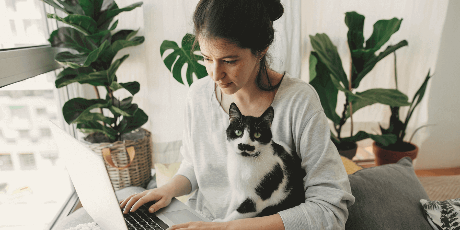 Woman with cat using laptop to research what perimenopause is